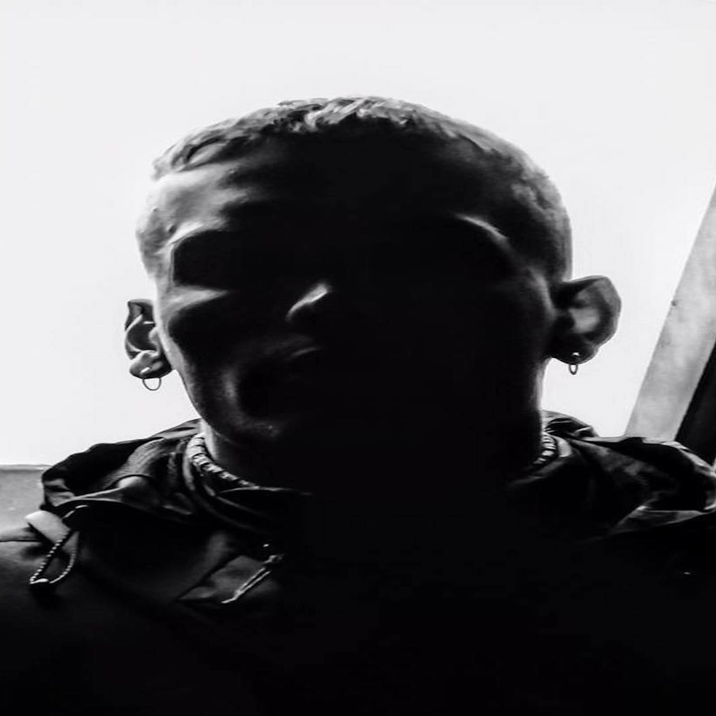 Tino (3)