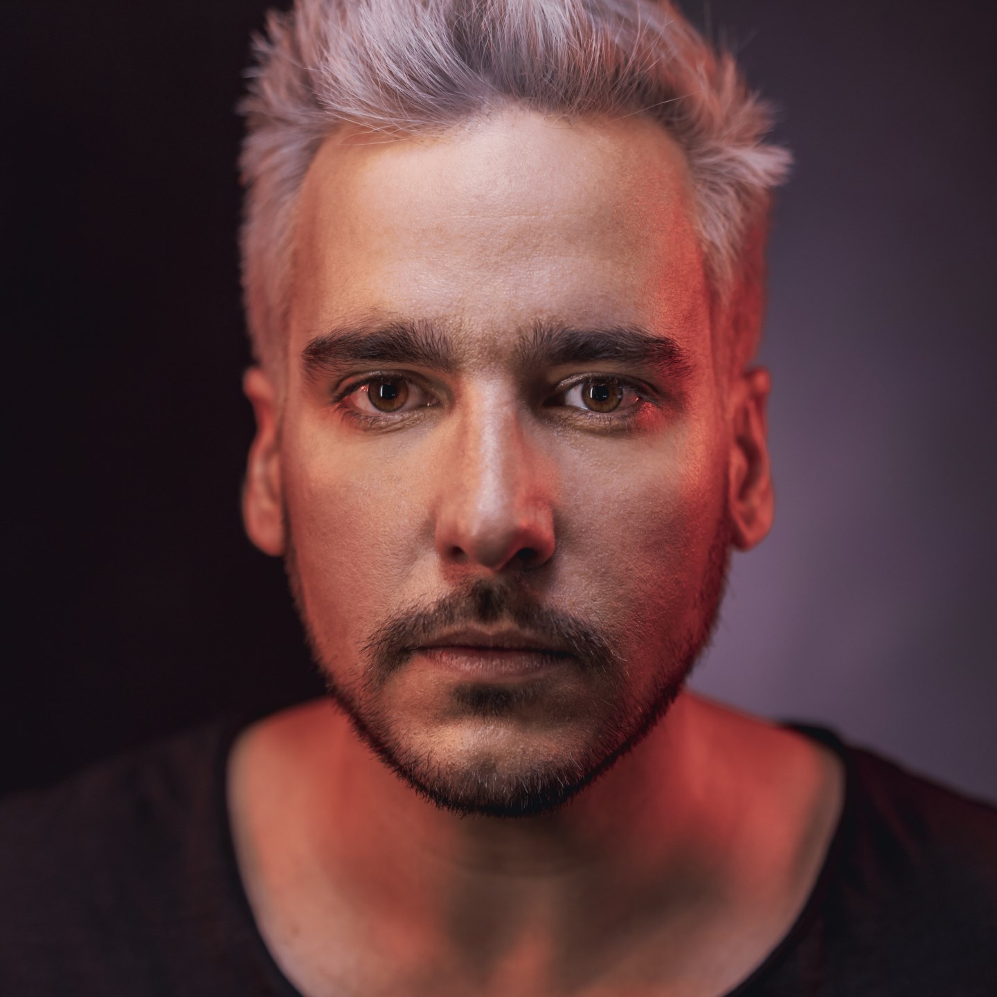 Alex Stein