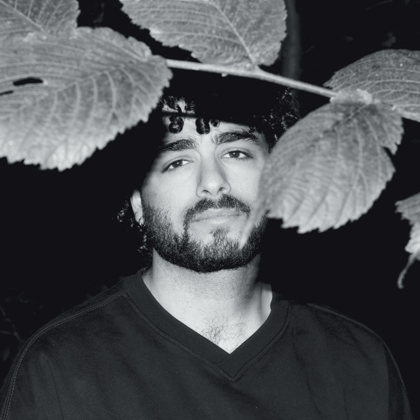 Fafi Abdel Nour